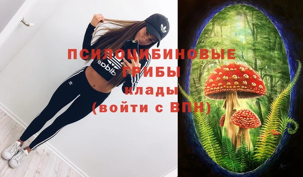 тгк Волоколамск