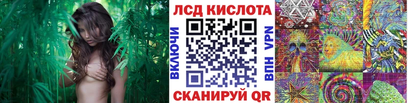 Марки N-bome 1,8мг  магазин продажи наркотиков  Кимры 